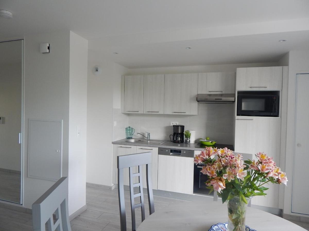 Saint Malo Bel Appartement Neuf Pres Gare Plage Sillon Intramuros Parking Prive Εξωτερικό φωτογραφία